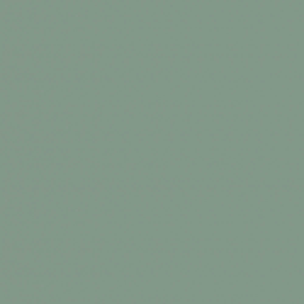 Soft Touch Mint - Double sided 4' x 9' 3/4"
